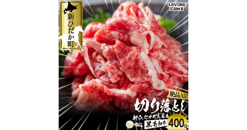 【ふるさと納税】 北海道産 黒毛和牛 こぶ黒 A5 肩 バラ 切り落とし 400g 霜降り 和牛 ブランド牛 牛肉 ブランド 牛 肉 ビーフ 冷凍 北海道 新ひだか町 ＜LC＞