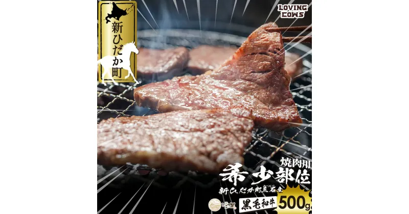 【ふるさと納税】 北海道産 黒毛和牛 こぶ黒 A5 焼肉 希少部位 500g ( 1種類 ) ブランド牛 三角バラ 肩ロース カイノミ トモサンカク シンシン ミスジ 何が届くか お楽しみ 希少 牛肉 ブランド 牛 肉 ビーフ 冷凍 新ひだか町 ＜LC＞