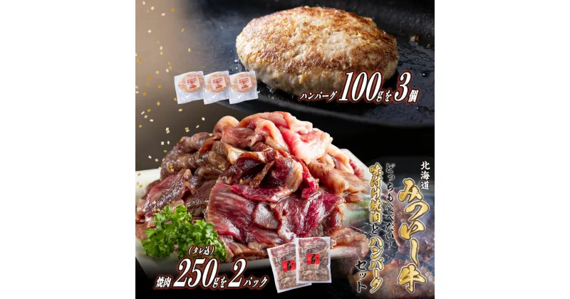 【ふるさと納税】 北海道産 黒毛和牛 みついし牛 味付け 焼肉 ＆ ハンバーグ 計 800g ( 250g × 2パック タレ込 ＆ 100g × 3枚 ) セット 和牛 ブランド牛 ホエー豚 ブランド 牛肉 豚肉 牛 豚 肉 ビーフ ポーク ハンバーグステーキ お惣菜 惣菜 冷凍 北海道 新ひだか町