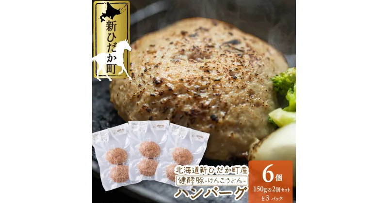 【ふるさと納税】 北海道産 ブランド ポーク ハンバーグ 計 900 g ( 150g × 6個 ) 豚肉 健酵豚 ブランドポーク ハンバーグステーキ 豚 肉 酵素 旨味 うまみ うま味 お惣菜 冷凍 北海道 新ひだか町