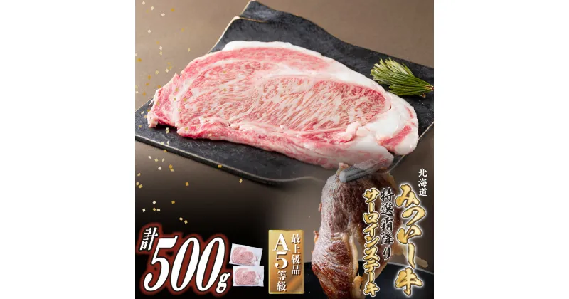 【ふるさと納税】 北海道産 黒毛和牛 みついし牛 A5 ステーキ サーロイン 計 500g ( 約 250g × 2枚 ) 霜降り 和牛 ブランド牛 ブランド 牛肉 牛 肉 ビーフ 冷凍 北海道 新ひだか町