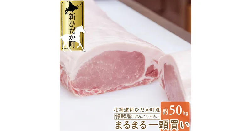 【ふるさと納税】 北海道産 ブランドポーク 一頭買い 計 約 50kg 冷蔵 大容量 ロース 肩ロース バラ ヒレ ウデ モモ ブロック ポーク 健酵豚 豚肉 ポーク 酵素 パーティー バーベキュー BBQ とんかつ 豚カツ トンテキ 生姜焼き 焼き豚 旨味 うまみ うま味 北海道 新ひだか町