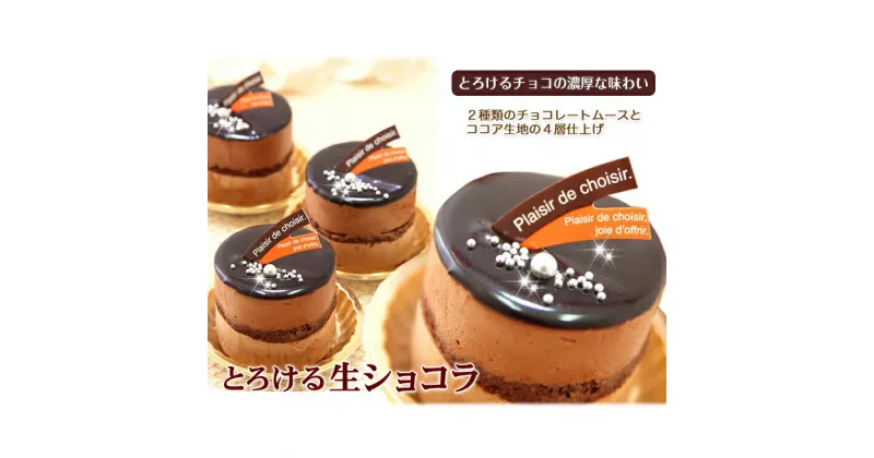 【ふるさと納税】 リッチな味わい♪ チョコレートケーキ『とろける 生ショコラ』　北海道 新ひだか町の オリジナルケーキ チョコ チョコレート ケーキ ムース クーベルチュール スイーツ 誕生日 パーティー お祝い 結婚記念日