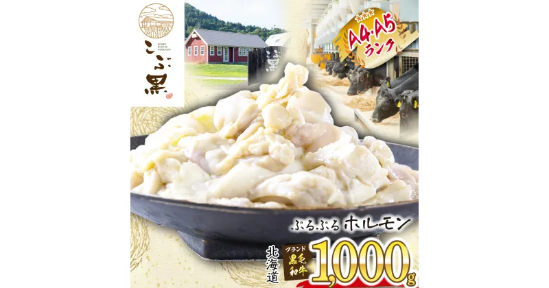 【ふるさと納税】 北海道産 黒毛和牛 こぶ黒 A5 A4 ホルモン 計 1kg ( 500g × 2パック ) 和牛 ブランド牛 牛肉 ブランド 牛 肉 ビーフ ぷるぷる もつ鍋 もつ モツ もつ煮 焼肉 煮込み 黒毛 和牛 冷凍 北海道 新ひだか町