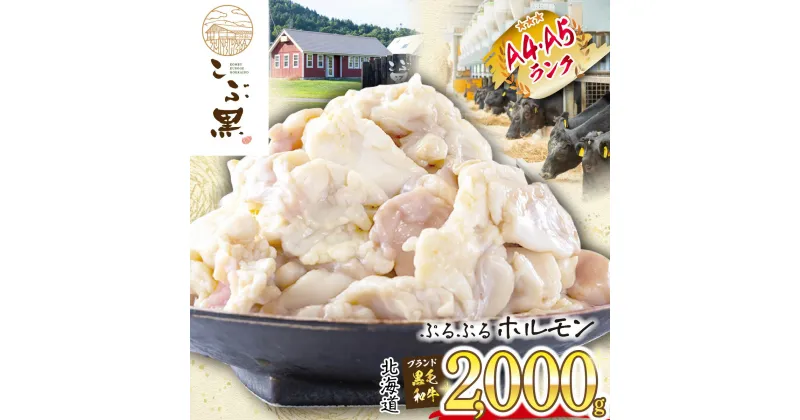 【ふるさと納税】 北海道産 黒毛和牛 こぶ黒 A5 A4 ホルモン 計 2 kg ( 500g × 4パック ) 和牛 ブランド牛 牛肉 ブランド 牛 肉 ビーフ ぷるぷる もつ鍋 もつ モツ もつ煮 焼肉 煮込み 黒毛 和牛 冷凍 北海道 新ひだか町