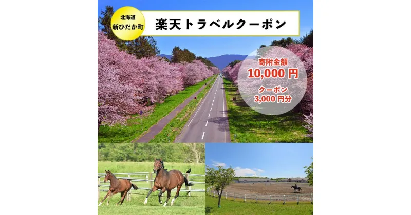 【ふるさと納税】北海道新ひだか町の対象施設で使える使える楽天トラベルクーポン寄付額10,000円