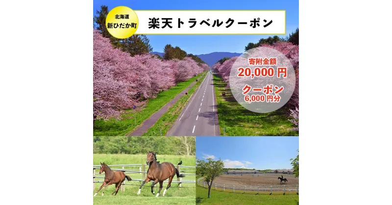 【ふるさと納税】北海道新ひだか町の対象施設で使える楽天トラベルクーポン寄付額20,000円