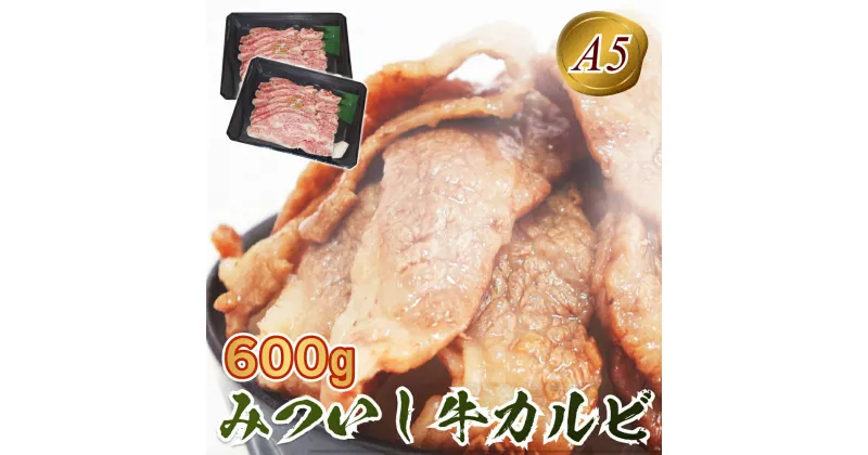 【ふるさと納税】 北海道産 黒毛和牛 みついし牛 A5 カルビ 計 600g ( 300g × 2パック )和牛 ブランド牛 ブランド 牛肉 牛 肉 ビーフ 冷凍 北海道 新ひだか町