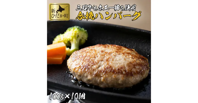 【ふるさと納税】 北海道産 黒毛和牛 みついし牛 ハンバーグ 1kg ( 100g × 10個 ) ブランド ホエー豚 合挽 合い挽き ブランド牛 和牛 牛肉 豚肉 牛 豚 肉 ビーフ ポーク ハンバーグステーキ お惣菜 惣菜 10枚 セット冷凍 北海道 新ひだか町