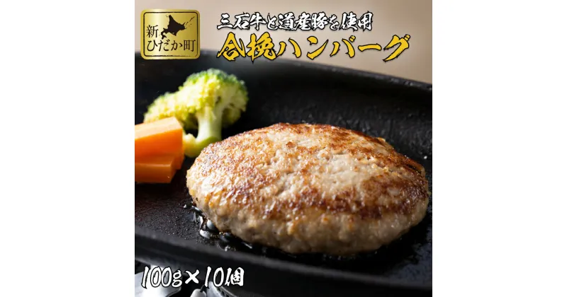 【ふるさと納税】 北海道産 黒毛和牛 みついし牛 ハンバーグ 1kg ( 100g × 10個 ) ブランド 道産豚 合挽 合い挽き ブランド牛 和牛 牛肉 豚肉 牛 豚 肉 ビーフ ポーク ハンバーグステーキ お惣菜 惣菜 10枚 セット冷凍 北海道 新ひだか町