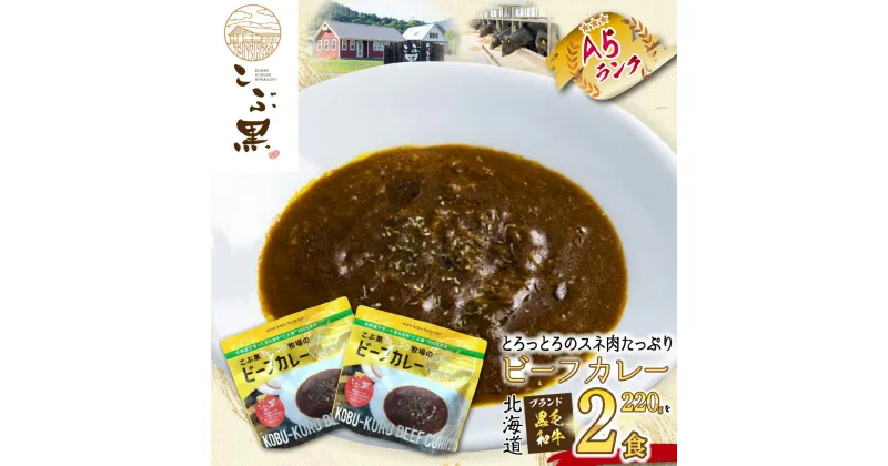 【ふるさと納税】 北海道産 黒毛和牛 こぶ黒 A5 ビーフカレー 計 440g ( 220g × 2パック ) 和牛 ブランド牛 カレー 牛肉 ブランド 牛 肉 ビーフ 電子レンジ レンジ レンチン 冷凍 北海道