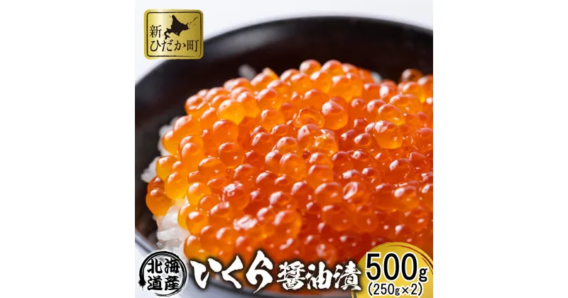 【ふるさと納税】 北海道産 いくら 500g ( 250g × 2パック ) 醤油いくら 鮭卵 イクラ 鮭 秋鮭 醤油漬 醤油 魚介 海鮮 海産物 冷凍 いくら丼 パスタ ちらし寿司 海の幸 北海道 新ひだか町