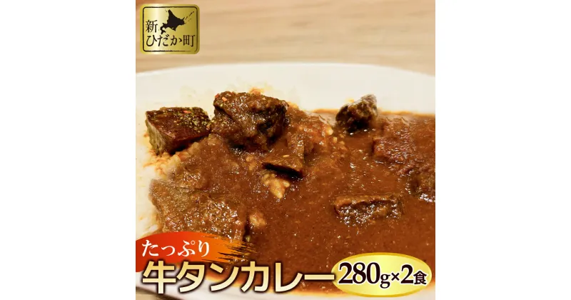 【ふるさと納税】 牛タン カレー 2パック 計 560g 牛たん たん タン 牛 牛肉 肉 ビーフ カレーライス ホロホロ 柔らか やわらか 1パック あたり 280g 冷凍 北海道 新ひだか町