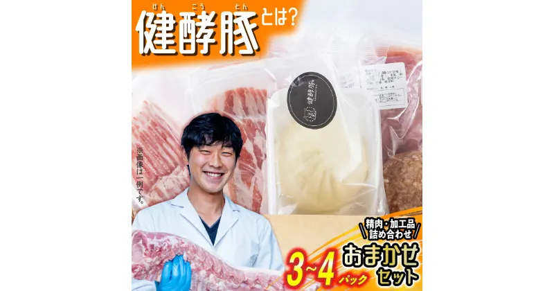 【ふるさと納税】 北海道産 健酵豚 おまかせ セット 3～4パック 豚肉 精肉 加工品 おためし 詰め合わせ お楽しみ おたのしみ セット 豚 肉 ブランド ポーク 酵素 旨味 うまみ うま味 冷凍 北海道 新ひだか町