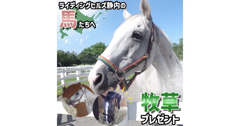 【ふるさと納税】 競走馬のふるさと 北海道 新ひだか町 ライディングヒルズ静内 馬 への 牧草ロール プレゼント 競走馬 うま サラブレッド ポニー 引退馬 牧草 馬産地 北海道 新ひだか町 静内 乗馬 体験 施設