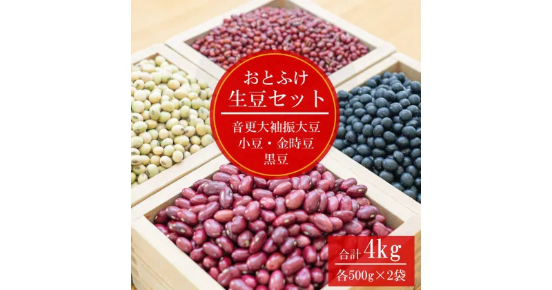 【ふるさと納税】《2024年12月下旬より順次発送》【令和6年産】「JAおとふけ」 おとふけ生豆セット 500g×2袋×4種類 合計4kg 小豆 大豆 黒豆 金時豆 音更大袖振大豆 生豆 あずき だいず くろまめ きんときまめ 詰め合わせ お取り寄せ 十勝 常温 国産 北海道 音更町 送料無料