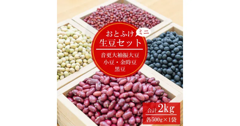 【ふるさと納税】《2024年12月下旬より順次発送》【令和6年産】 「JAおとふけ」 おとふけ生豆ミニセット 500g×4種類 合計2kg 大豆 小豆 黒豆 金時豆 音更大袖振大豆 だいず あずき くろまめ きんときまめ 生豆 セット 詰め合わせ 十勝 常温 国産 北海道 音更町 送料無料