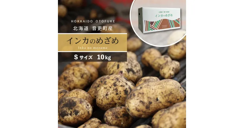 【ふるさと納税】【先行受付】 おとふけ産じゃがいも「インカのめざめ」 10kg （Sサイズ） じゃがいも インカのめざめ ジャガイモ いも 芋 おいも お芋 根菜 やさい 野菜 十勝 セット 詰め合わせ 【11月下旬頃順次発送】 北海道 音更町 送料無料