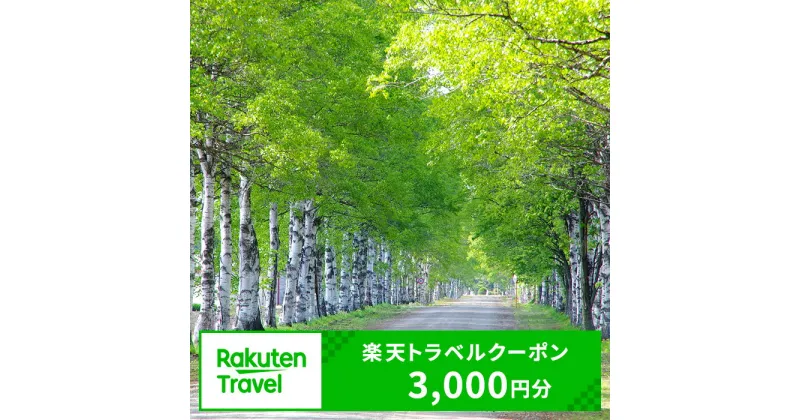 【ふるさと納税】北海道音更町の対象施設で使える楽天トラベルクーポン 寄附額10,000円 旅行 観光 トラベル レジャー 体験 温泉 宿泊 ホテル 旅館 予約 国内 十勝温泉 モール温泉 チケット クーポン 宿泊券 宿泊補助券 金券 北海道 音更町