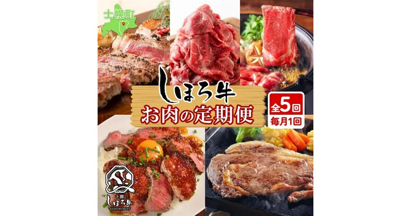 【ふるさと納税】【定期便】北海道 牛肉 しほろ牛 定期便 全5回 牛肉 焼肉 サーロイン ステーキ リブロース 切り落とし ローストビーフ 肉 牛 赤身肉 国産牛 肉 ビーフ 牛肉 冷凍 お惣菜 焼肉 頒布会 送料無料 十勝 士幌町 100000円