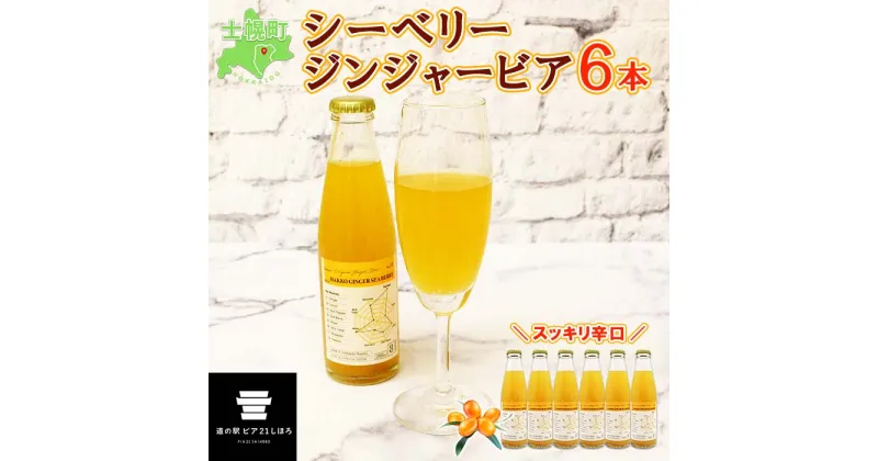 【ふるさと納税】北海道 ジンジャービア 200ml×6本 シーベリービア HAKKO GINGER オーガニック シーベリーソーダ サジー スーパーフルーツ ショウガ 生姜 辛口 炭酸 ノンアルコール お取り寄せ 送料無料 十勝 士幌町 14000円