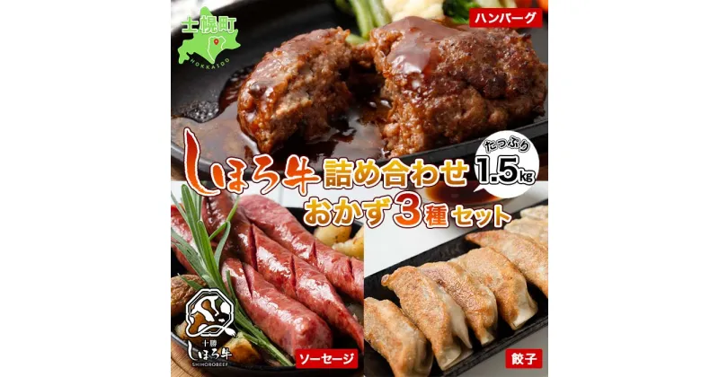 【ふるさと納税】北海道 しほろ牛 ハンバーグ ソーセージ 餃子 3種セット 牛 赤身肉 国産牛 肉 ビーフ ギョウザ ぎょうざ フランクフルト ギョーザ 国産 加工品 おかず 惣菜 お惣菜 おつまみ 冷凍 詰合せ お取り寄せ 送料無料 十勝 士幌町 19000円