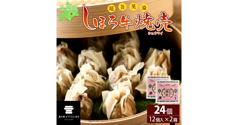 【ふるさと納税】北海道 しほろ牛 焼売 2箱 セット 計24個入 牛肉 国産牛 肉 ビーフ しゅうまい シュウマイ 飲茶 点心 中華 簡単調理 中華料理 冷凍 おかず お弁当 惣菜 おつまみ グルメ 冷凍 お取り寄せ 送料無料 十勝 士幌町 10000円