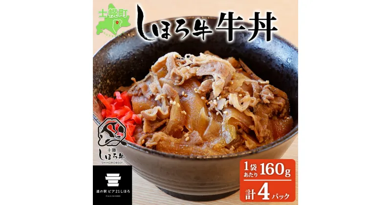 【ふるさと納税】北海道 しほろ牛 牛丼の具 160g×4パック セット 牛丼 牛肉 国産牛 玉ねぎ ゴボウ 丼 冷凍 時短 簡単 便利 レンチン おかず おつまみ 温めるだけ ご飯のお供 お取り寄せ グルメ 道の駅 ピア21しほろ 送料無料 十勝 士幌町 12000円