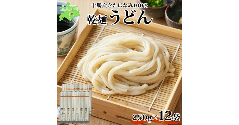 【ふるさと納税】北海道 十勝産 うどん 250g×12袋 2-3人前 乾麺 干しうどん 麺 めん きたほなみ 小麦使用 小分け 個包装 保存 詰め合わせ 備蓄 贈り物 ギフト お取り寄せ 送料無料 北海道 十勝 士幌町 12000円