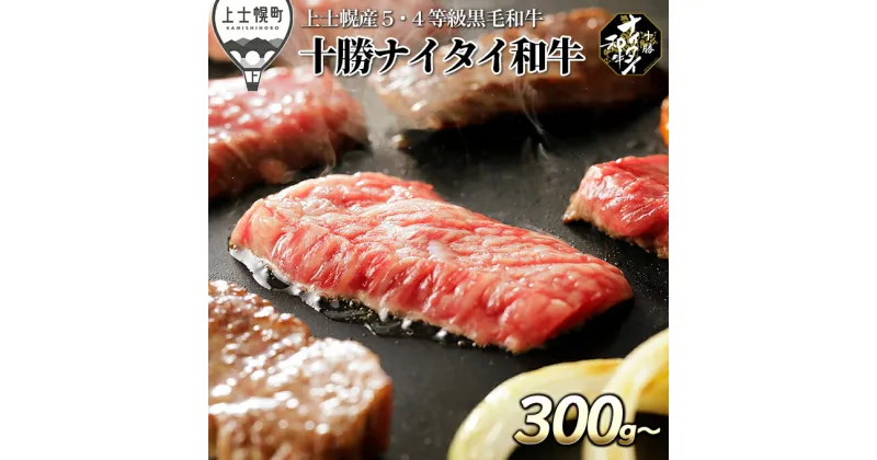 【ふるさと納税】十勝ナイタイ和牛 焼肉用 300g～ 3タイプから選べる 北海道産 牛肉 5・4等級黒毛和牛 オレイン酸含有率55%以上 モモ バラ 肩ロース ※オンライン申請対応