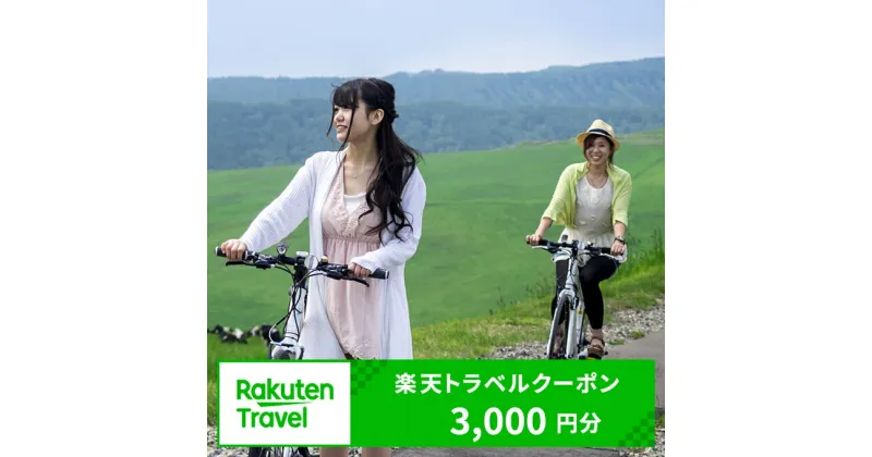 【ふるさと納税】北海道上士幌町の対象施設で使える楽天トラベルクーポン　寄付額10,000円（クーポン3,000円分）　※オンライン申請対応