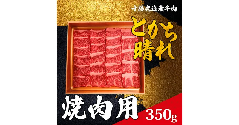 【ふるさと納税】十勝鹿追産牛肉「とかち晴れ」　焼肉用 350g 【ふるさと納税 人気 おすすめ ランキング 牛 牛肉 肉 ビーフ 焼肉 牛焼肉 焼肉用牛肉 ミート バーベキュー用牛肉 北海道 鹿追町 送料無料 】 SKY003