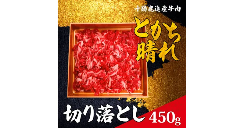 【ふるさと納税】十勝鹿追産牛肉「とかち晴れ」　切り落とし 450g 【ふるさと納税 人気 おすすめ ランキング 牛肉 肉 牛 ビーフ 切り落とし 牛切り落とし 切り落とし牛肉 霜降り牛肉 北海道 鹿追町 送料無料】 SKY004