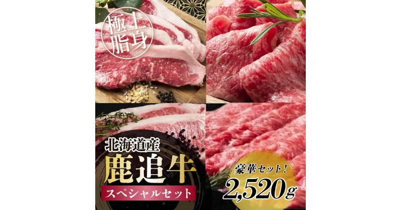 【ふるさと納税】鹿追牛　スペシャルセット 2,520g 【 ふるさと納税 人気 おすすめ ランキング 牛 肉 牛肉 ビーフ ロース ステーキ すき焼き 焼肉 大容量 ミート 北海道 鹿追町 送料無料 】 SKA018