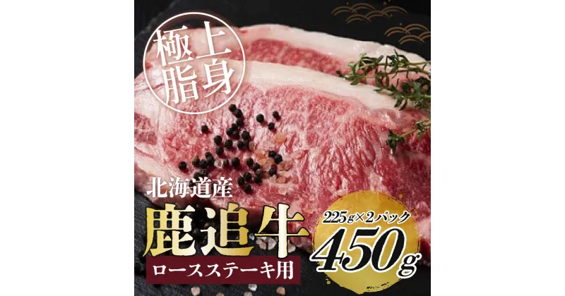 【ふるさと納税】鹿追牛ロースステーキ（鹿追牛Dセット） 225g×2【 ふるさと納税 人気 おすすめ ランキング 肉 牛肉 牛ロース 牛ステーキ 牛ひき肉 牛サーロイン 肉 牛肉 牛ヒレ 牛すき焼き 北海道 鹿追町 送料無料 】 SKA008