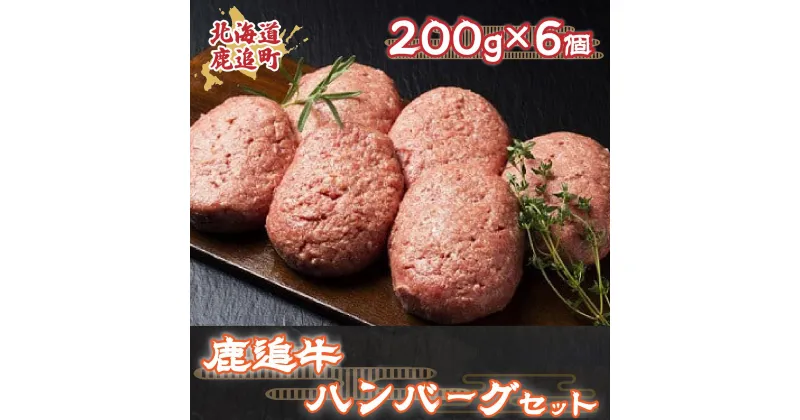 【ふるさと納税】鹿追牛ハンバーグセット 200g×6個【 ふるさと納税 人気 おすすめ ランキング 肉 牛肉 牛ハンバーグ 牛モモ 牛ひき肉 牛サーロイン 肉 牛肉 牛ヒレ 牛すき焼き 北海道 鹿追町 送料無料 】 SKA007