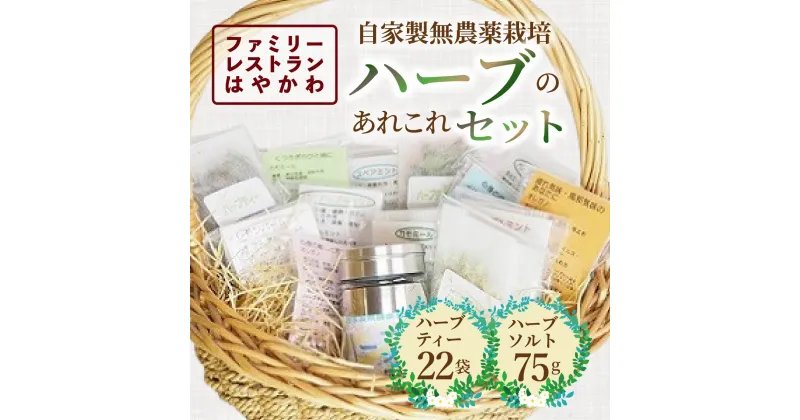 【ふるさと納税】「はやかわ」自家製無農薬栽培ハーブのあれこれセット 【 ふるさと納税 人気 おすすめ ランキング ハーブ ハーブティー ハーブソルト 薬草 香草 ハーブティーセット ハーブソルトセット 北海道 鹿追町 送料無料 】 SKF002