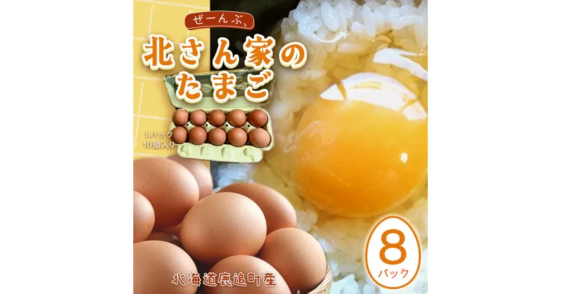 【ふるさと納税】ぜーんぶ、北さん家のたまご 【ふるさと納税 人気 おすすめ ランキング たまご 卵 タマゴ 鶏卵 鶏たまご 鶏タマゴ エッグ 鶏 にわとり 北海道 鹿追町 送料無料】 SKL004