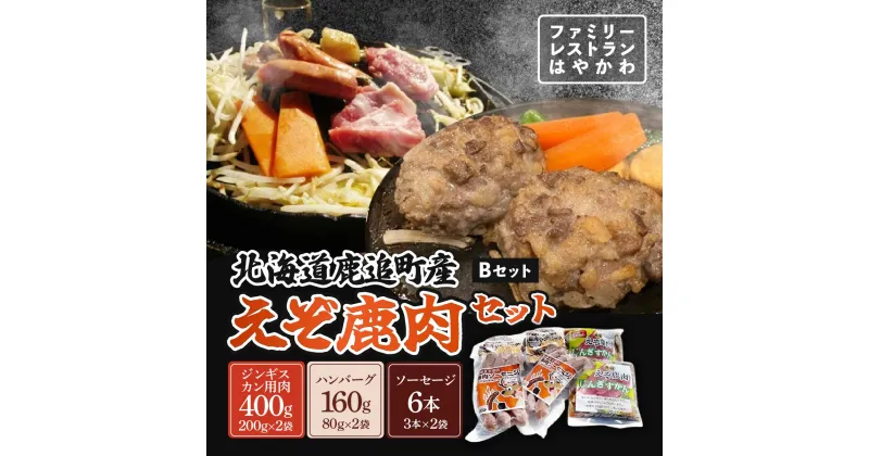 【ふるさと納税】えぞ鹿肉セットB 【 ふるさと納税 人気 おすすめ ランキング エゾシカ肉 えぞ鹿肉 蝦夷鹿肉 蝦夷シカ肉 えぞ鹿ジンギスカン えぞ鹿ソーセージ えぞ鹿ハンバーグ 北海道 鹿追町 送料無料 】 SKF004