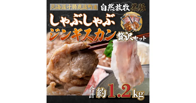 【ふるさと納税】鹿追産 自然放牧黒豚しゃぶしゃぶ＆豚ジンギスカンの贅沢セット 【 ふるさと納税 人気 おすすめ ランキング 黒豚 豚 黒豚肉 豚肉 ポーク しゃぶしゃぶ ジンギスカン 豚しゃぶ 北海道 鹿追町 送料無料 】 SKN006