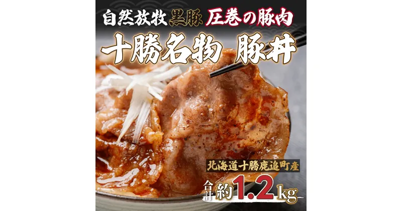 【ふるさと納税】鹿追産 自然放牧黒豚 圧巻の豚肉 十勝名物 豚丼 【 ふるさと納税 人気 おすすめ ランキング 黒豚 豚 豚肉 黒豚肉 豚丼 黒豚丼 黒豚の豚丼 豚丼のタレ 黒豚肉丼 北海道 鹿追町 送料無料 】 SKN007