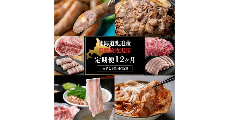 【ふるさと納税】鹿追産 自然放牧黒豚 圧巻の豚肉おまかせ定期便（12ヶ月分） 【 ふるさと納税 人気 おすすめ ランキング 黒豚 自然放牧黒豚 ウインナー ソーセージ ベーコン 豚肉 加工肉 定期便 十勝 北海道 鹿追町 送料無料 】 SKN013