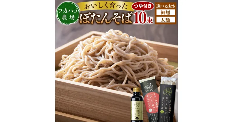 【ふるさと納税】ワカハラ農場 おいしく育った ぼたんそば 〈選べる太さ〉細麺 or 太麺 10束 つゆ 4本 セット 詰め合わせ そば 蕎麦 ソバ つゆ付 乾麺 乾めん 麺類 麺 メン お取り寄せ グルメ 北海道 新得町 送料無料【L-3502】