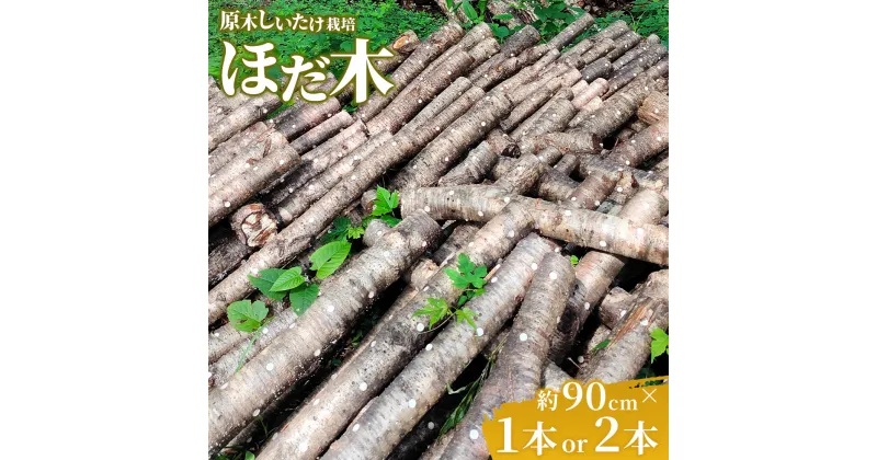 【ふるさと納税】北海道 十勝 新得町 原木しいたけ栽培 ほだ木 1～2本 SDGs 原木 しいたけ きのこ キノコ 自宅栽培 送料無料【Y-0801】