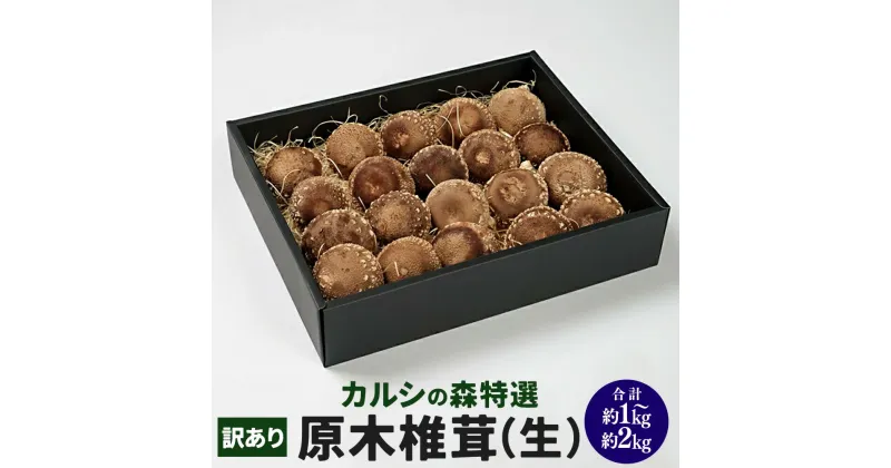 【ふるさと納税】【訳あり】カルシの森特選 原木しいたけ（生）＜選べる＞約1kg／約2kg 原木椎茸 しいたけ 椎茸 肉厚 濃厚 野菜 北海道 新得町 送料無料【Y-1005】