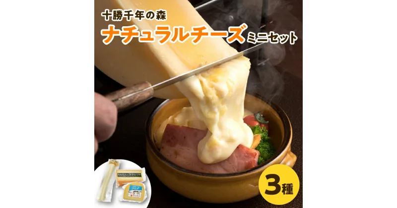 【ふるさと納税】＼レビューキャンペーン／ 十勝千年の森 ナチュラルチーズ ミニセット 乳製品 詰め合わせ チーズ ラクレット 清水産牛乳を使用 ワイン フランスパン パスタ グラタン ドリア お取り寄せ 北海道 清水町 送料無料