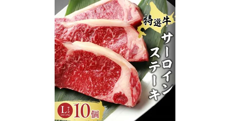 【ふるさと納税】＼レビューキャンペーン／ 特選牛サーロインステーキ L サイズ × 10個 セット 牛肉 肉 BBQ キャンプ アウトドア ステーキ肉 十勝スロウフード 贈り物 お取り寄せ 北海道 清水町 送料無料