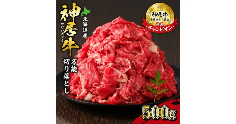 【ふるさと納税】＼レビューキャンペーン／ 佐藤さんちの神居牛 万能 切り落とし500g 北海道 清水町 送料無料