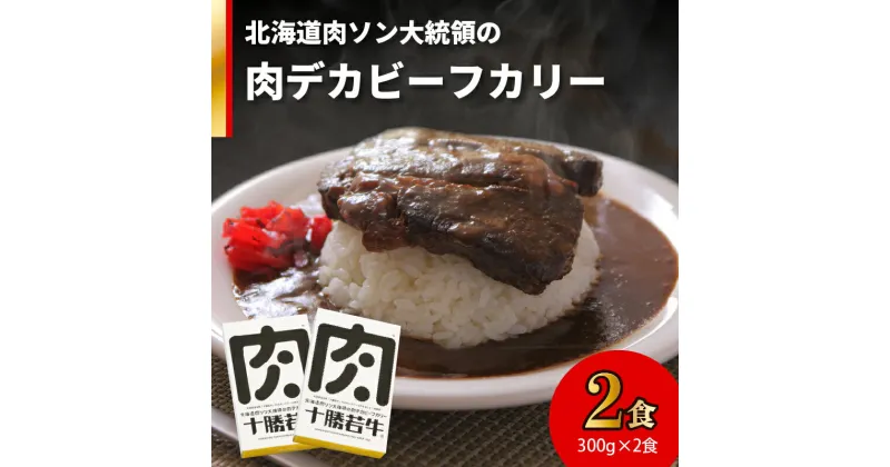 【ふるさと納税】＼レビューキャンペーン／ 北海道肉ソン大統領の肉デカビーフカリー 十勝若牛 カレー レトルト 簡単調理 甘口 牛肉 ステーキ肉まるごと1枚使用 辛味オイル付き 贈り物 お取り寄せ ギフト お中元 夏 夏ギフト お中元ギフト のし 北海道 清水町 送料無料