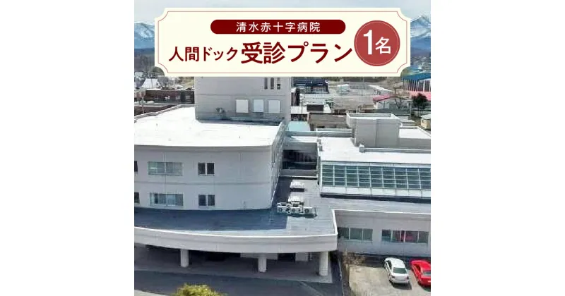 【ふるさと納税】＼レビューキャンペーン／ 清水赤十字病院 人間ドック 受診プラン 1名様 敬老の日 父の日 母の日 誕生日 半日 検査 北海道 清水町